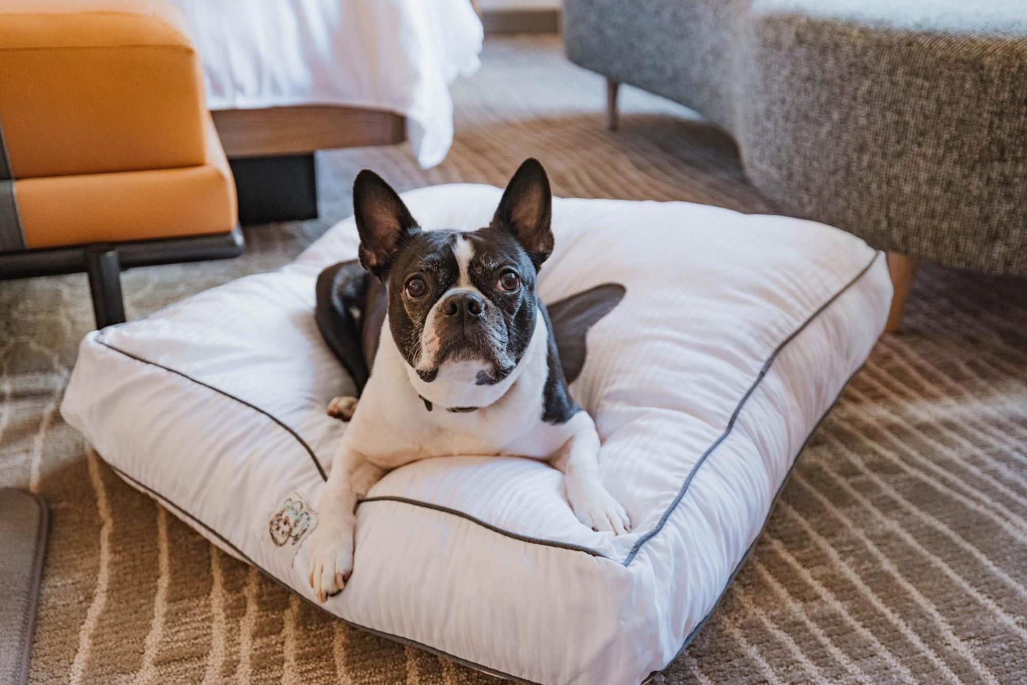 The Westin Book Cadillac Detroit Zewnętrze zdjęcie